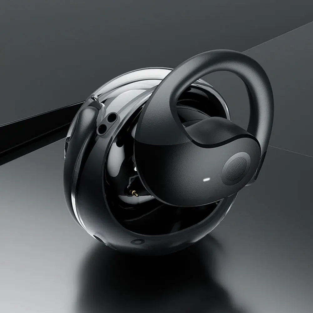 Lektro Pro vertimo ausinės