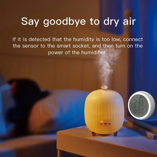 RSH ZigBee Išmanusis Temperatūros ir Drėgmės Jutiklis – Tiksli Kontrolė Balsu!