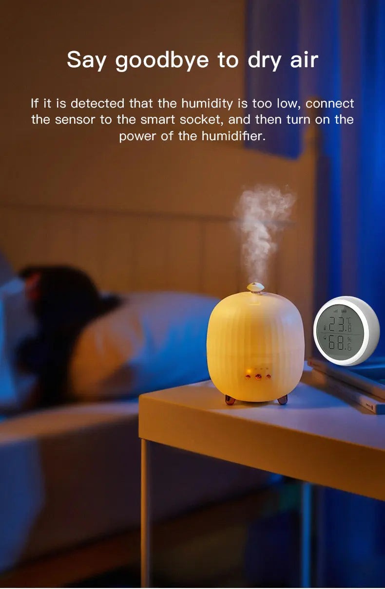 RSH ZigBee Išmanusis Temperatūros ir Drėgmės Jutiklis – Tiksli Kontrolė Balsu!