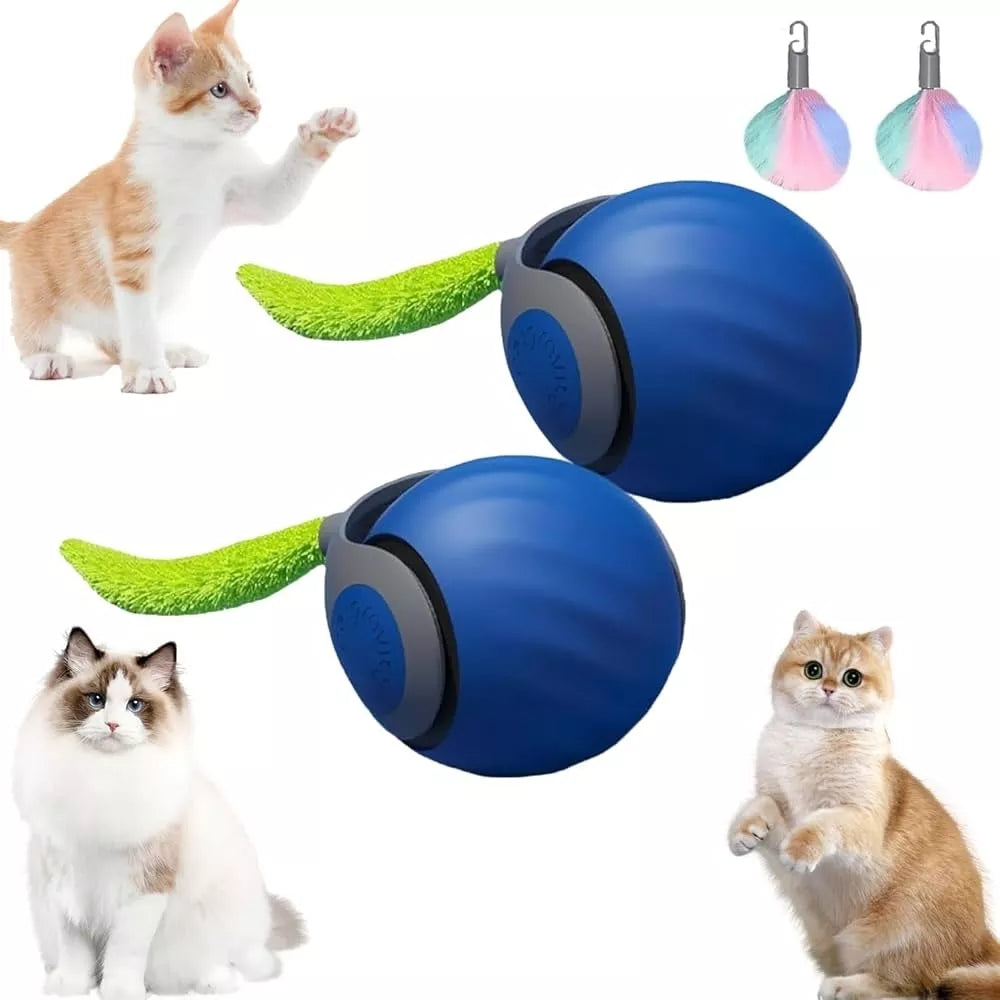 USB žaislas katei